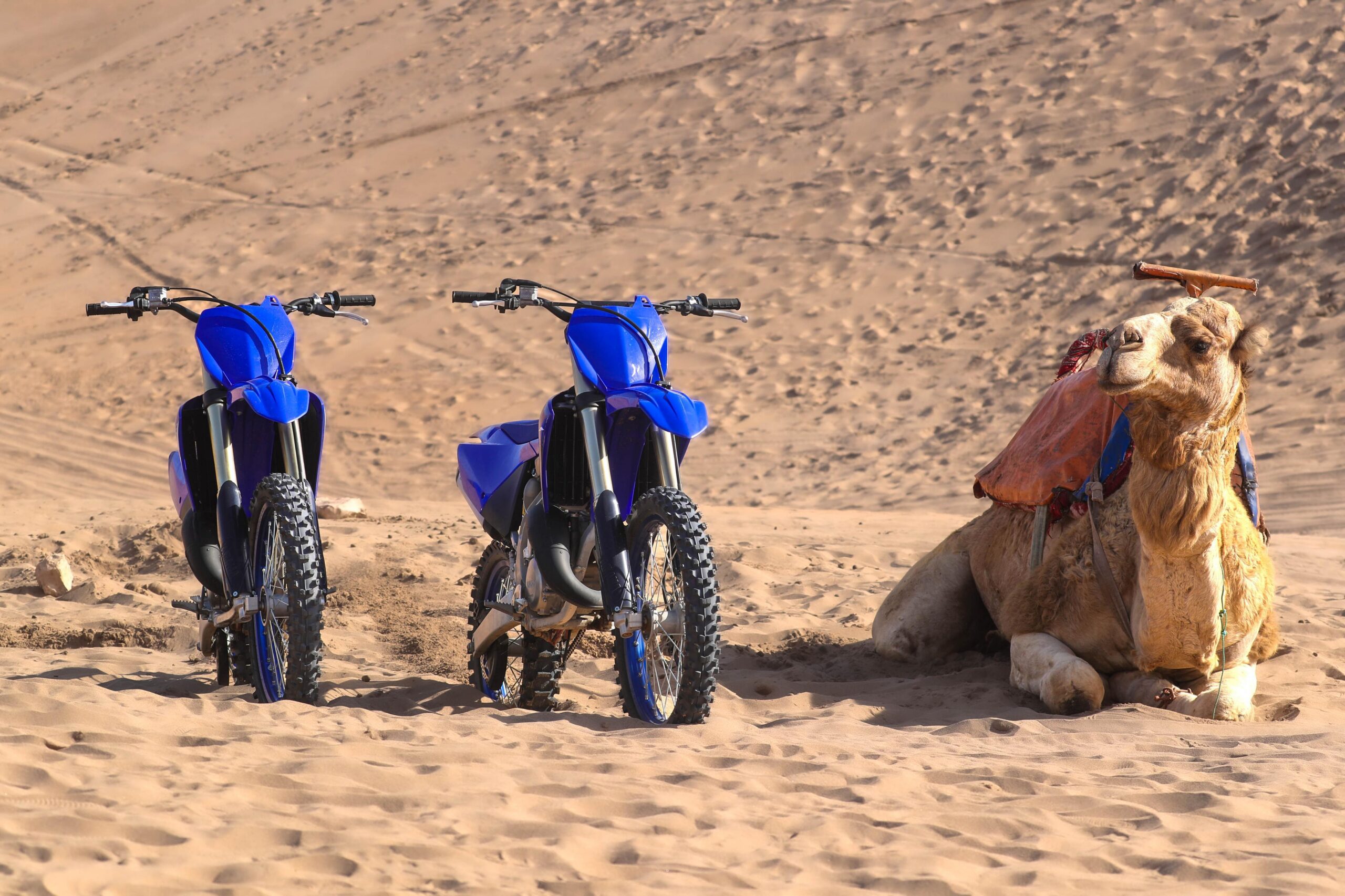 Galerie - Match We Can