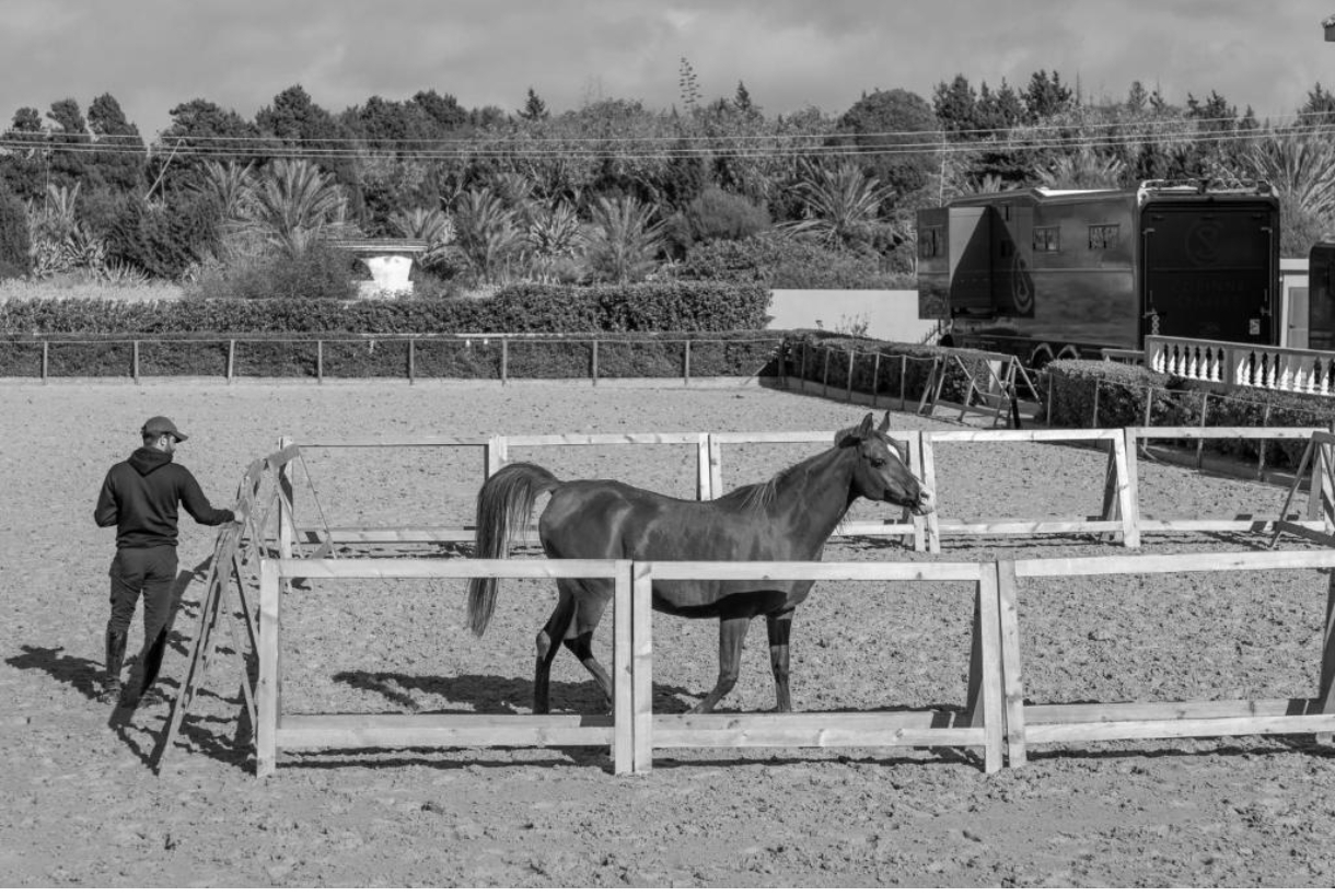 Galerie - Match We Can