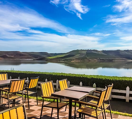 Ô LAC - Match We Can