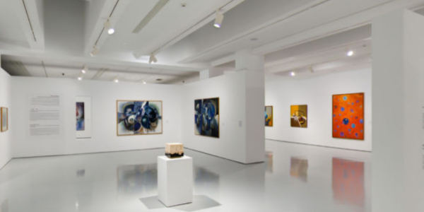 Galerie - Match We Can