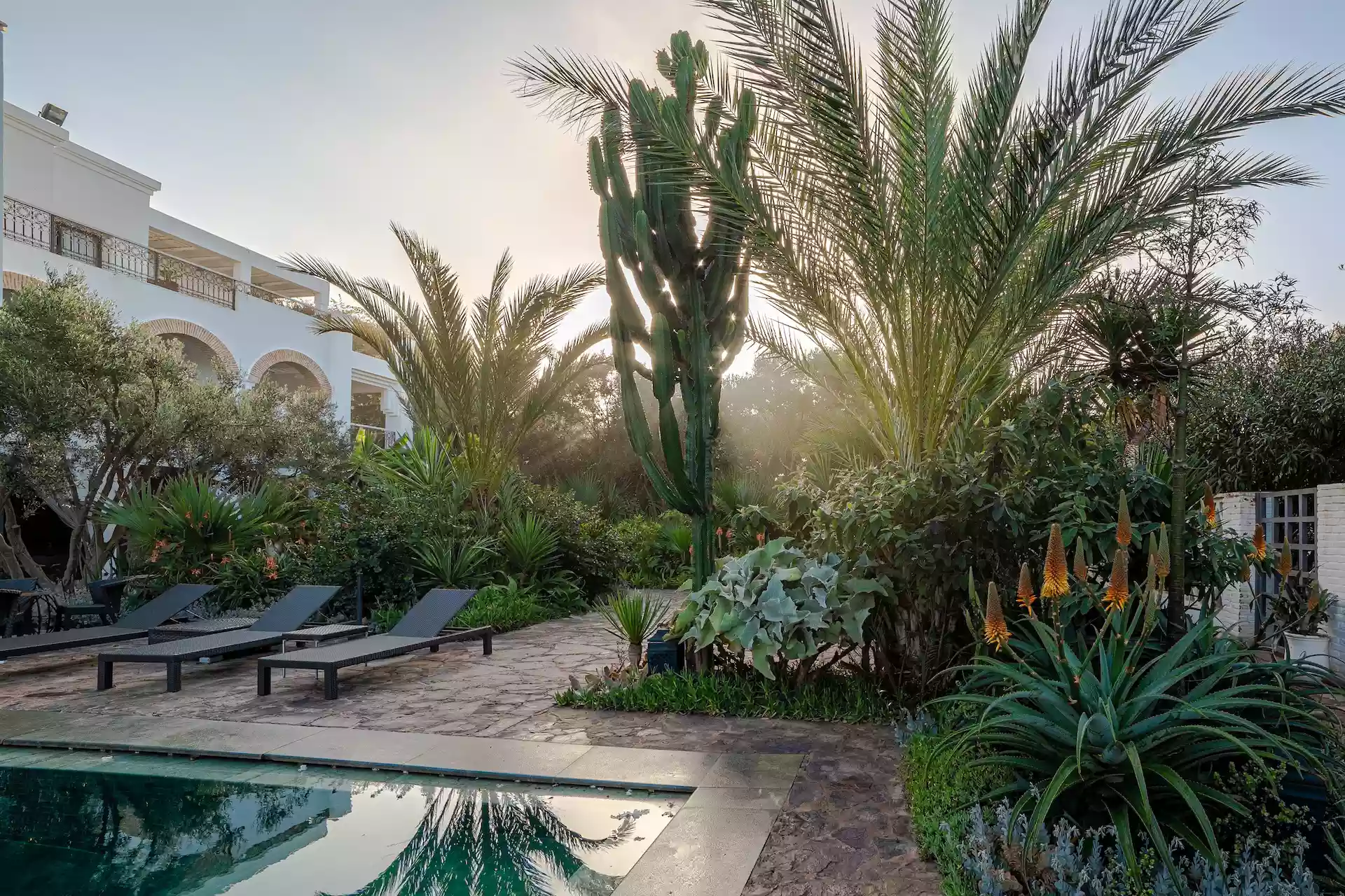 Galerie - Match We Can