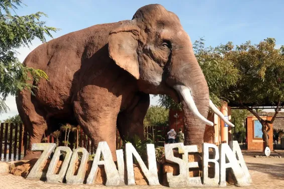 Zoo de Aïn Sebaâ - Match We Can